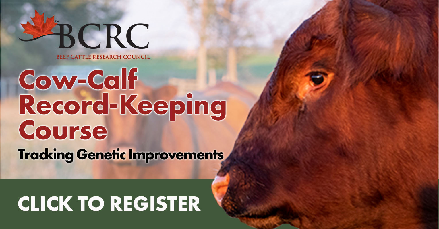 CowCalf RecordKeeping Course for Tracking Improvements