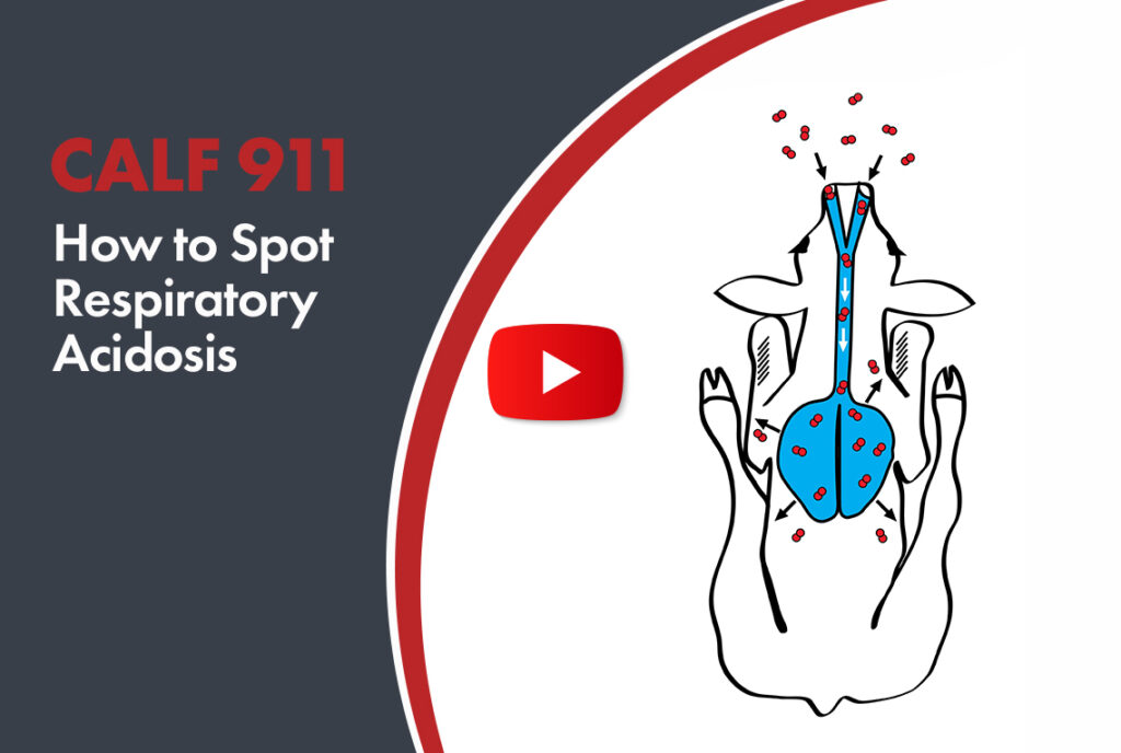 how to spot respiratory acidosis