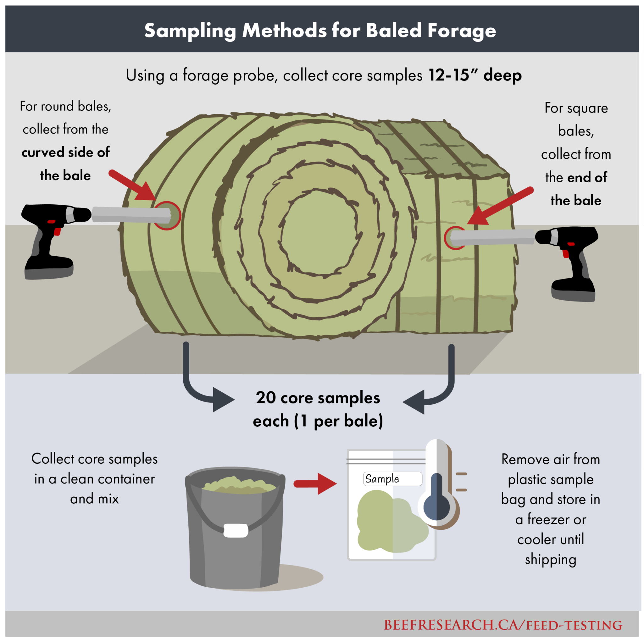 Winter Management of Beef Cattle - BeefResearch.ca