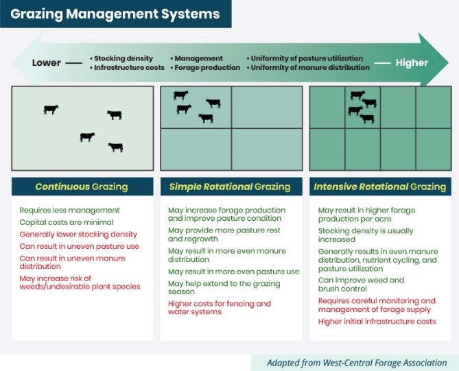 Grazing Management Systems for beef cattle