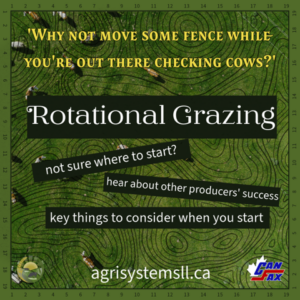 things to consider when starting rotational grazing