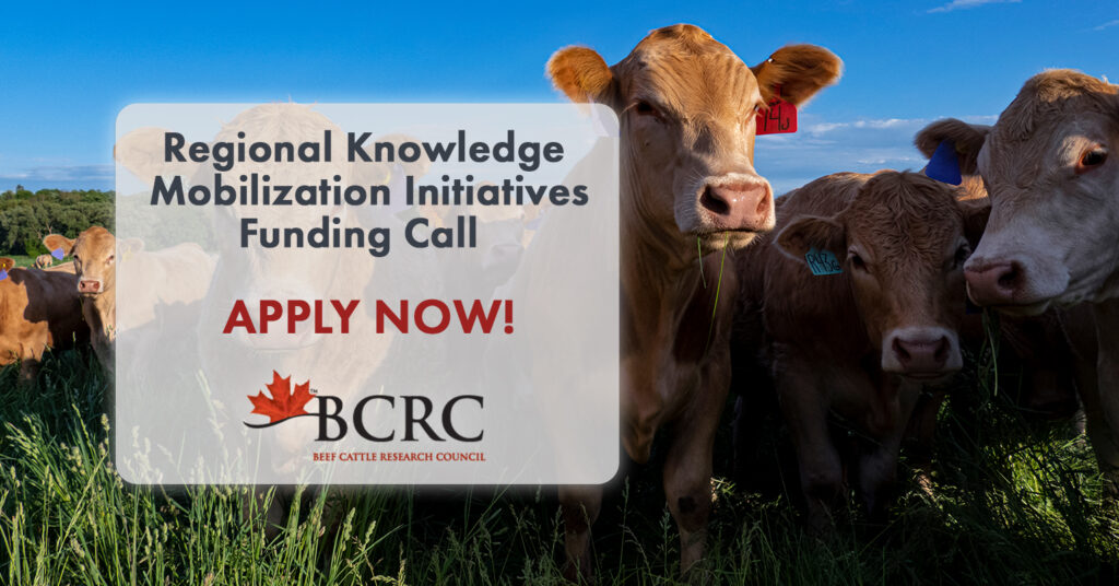 Apply now for the BCRC's Regional Knowledge Mobilization Initiatives Funding Call