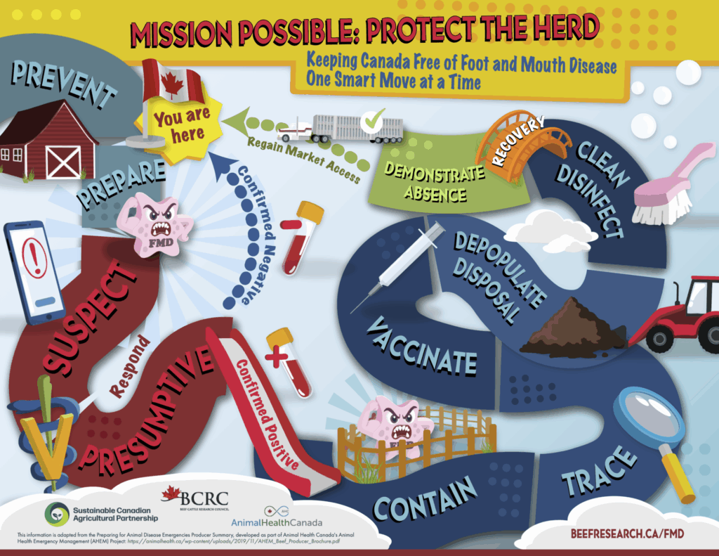 Foot and Mouth Disease game board