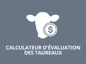 Calculateur d'évaluation des taureaux 