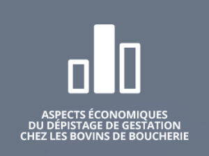 Aspects économiques du dépistage de gestation chez les bovins de boucherie 