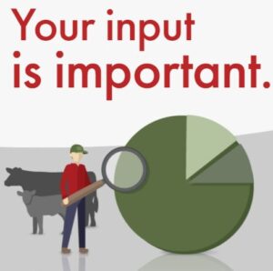 your input is important