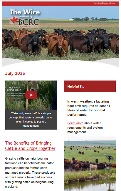 July 2025 Wire newsletter