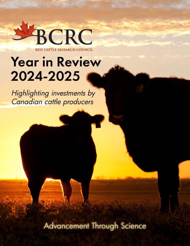 2022-23 BCRC year in review stakeholder report