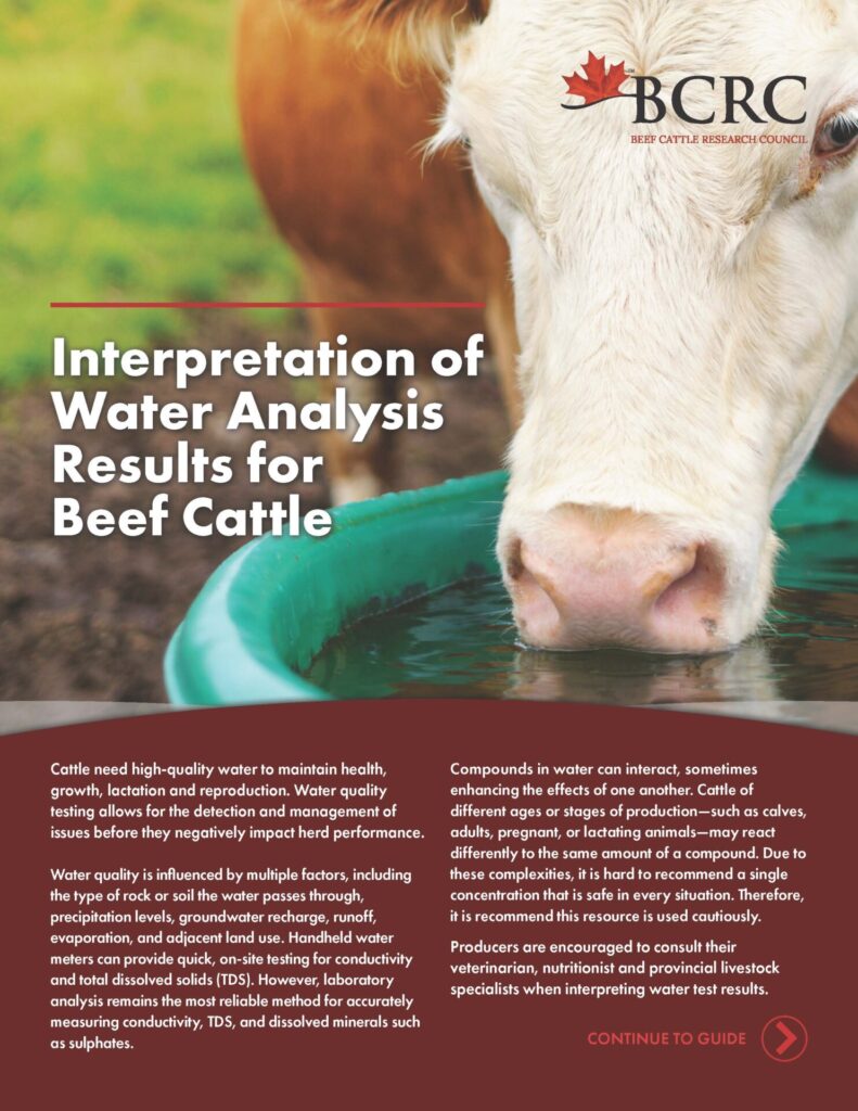 interpretation of water analysis results for beef cattle