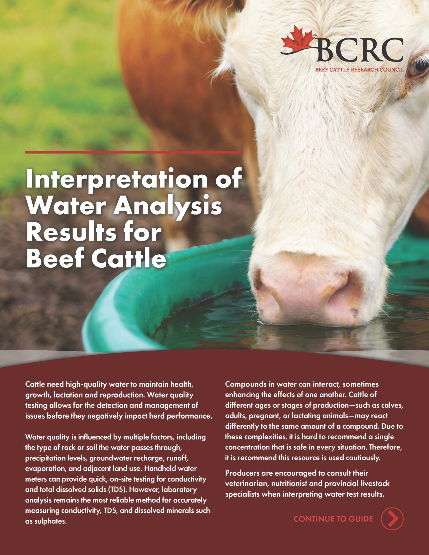 interpretation of water analysis results for beef cattle