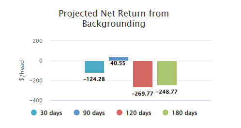 scenario 2, projected net return from backgrounding, 3 lbs ADG