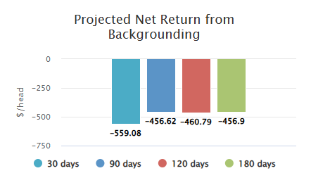 scenario 3, projected net return from backgrounding using futures, exchange rate and cost of gain, 2 lbs ADG