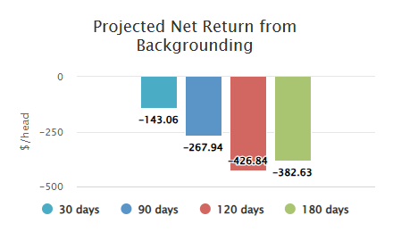 scenario 1, projected net return from backgrounding, 2 lbs ADG