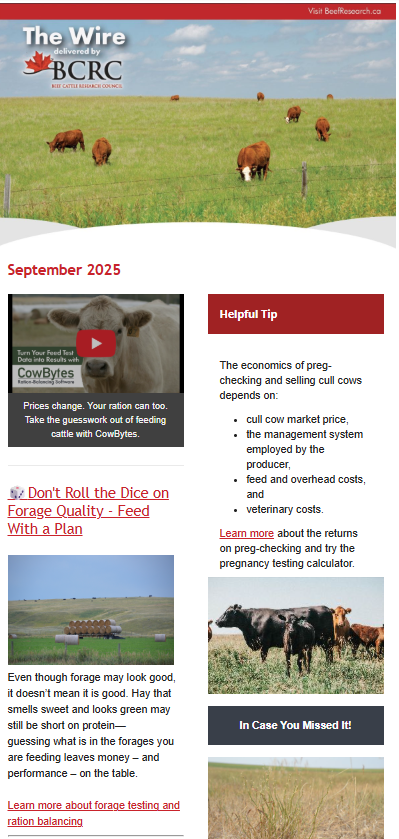 September issue of The Wire newsletter