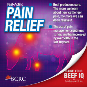 beef producers care. the use of pain management continues to rise and has increased by over 500% in the last 10 years.