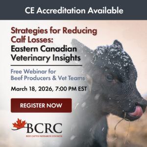 BCRC webinar: eastern strategies for reducing calf losses