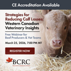 BCRC webinar: western strategies for Reducing Calf Losses