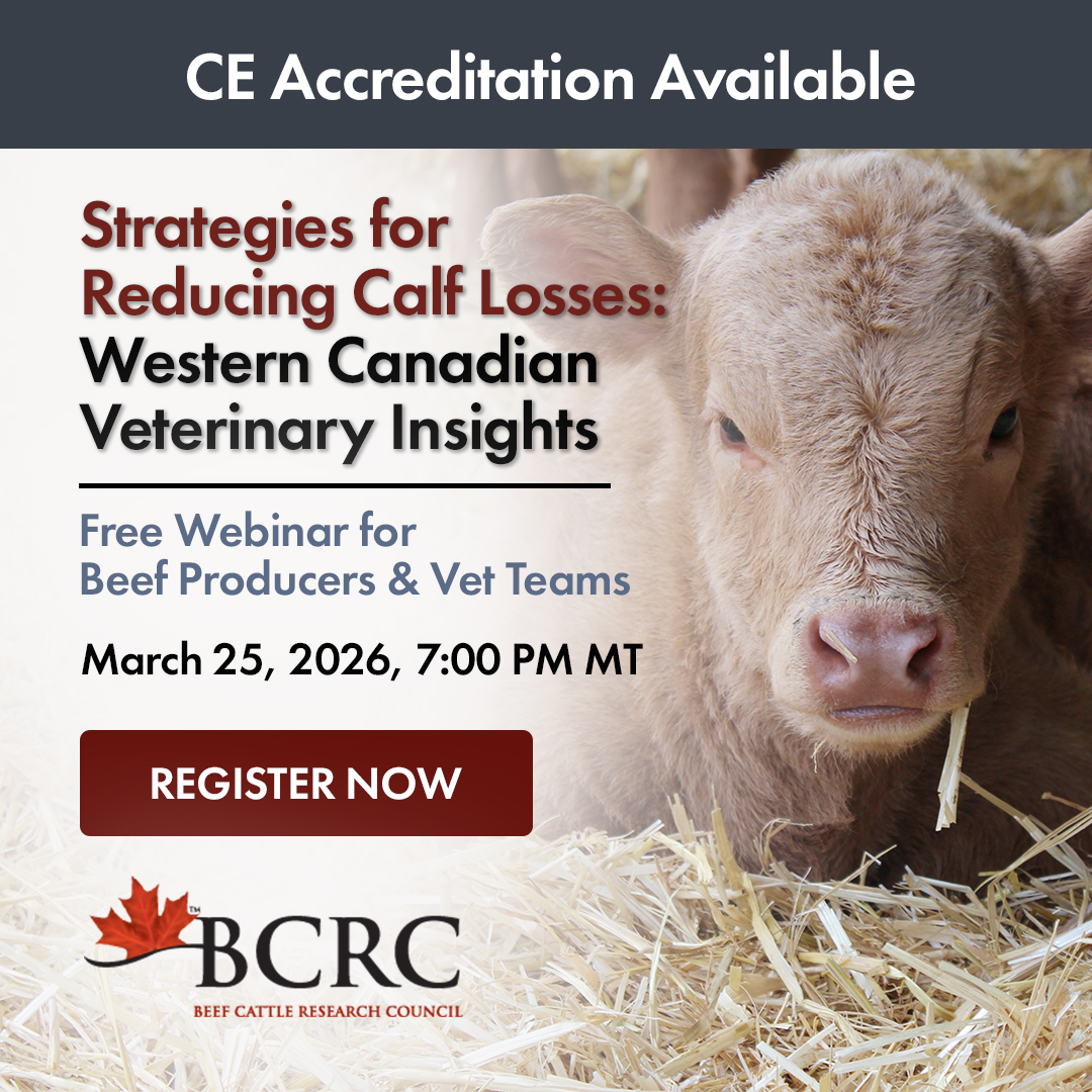 Cowbytes Example Strategies for Reducing Calf Losses: Western Canadian Veterinary ...