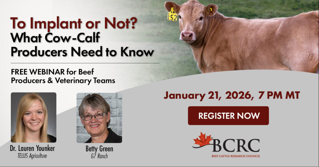 To Implant or Not? What cow-calf producers need to know - January 2026 BCRC webinar