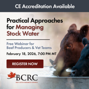 BCRC Webinar: practical approaches for managing stock water