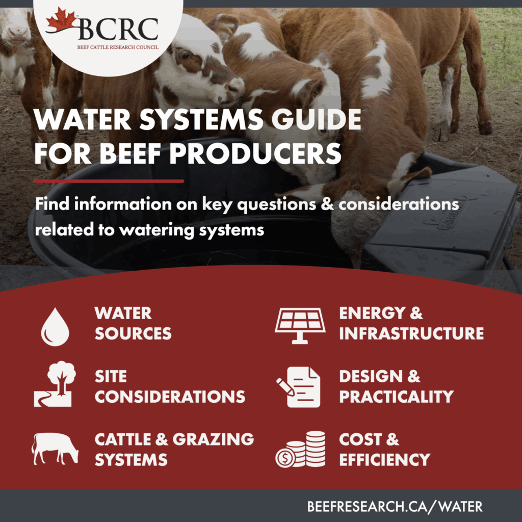 water systems guide for beef producers