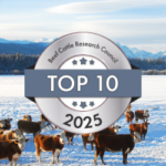 Top 10 BCRC posts of 2025