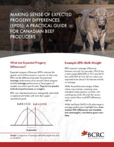 EPD interpretation guide