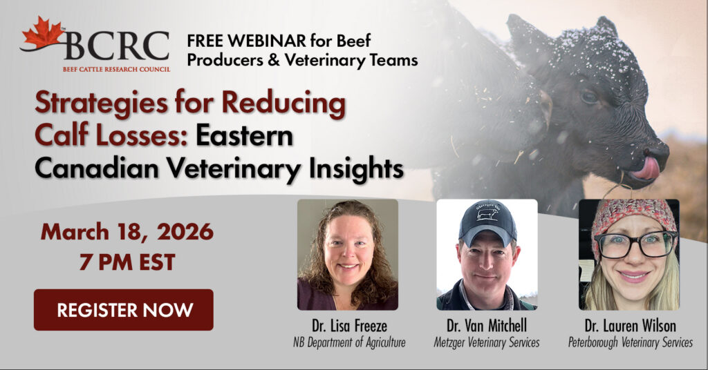 strategies for reducing calf losses webinar