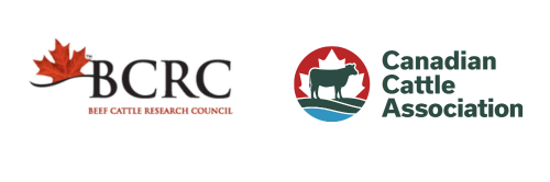 BCRC and CCA logos