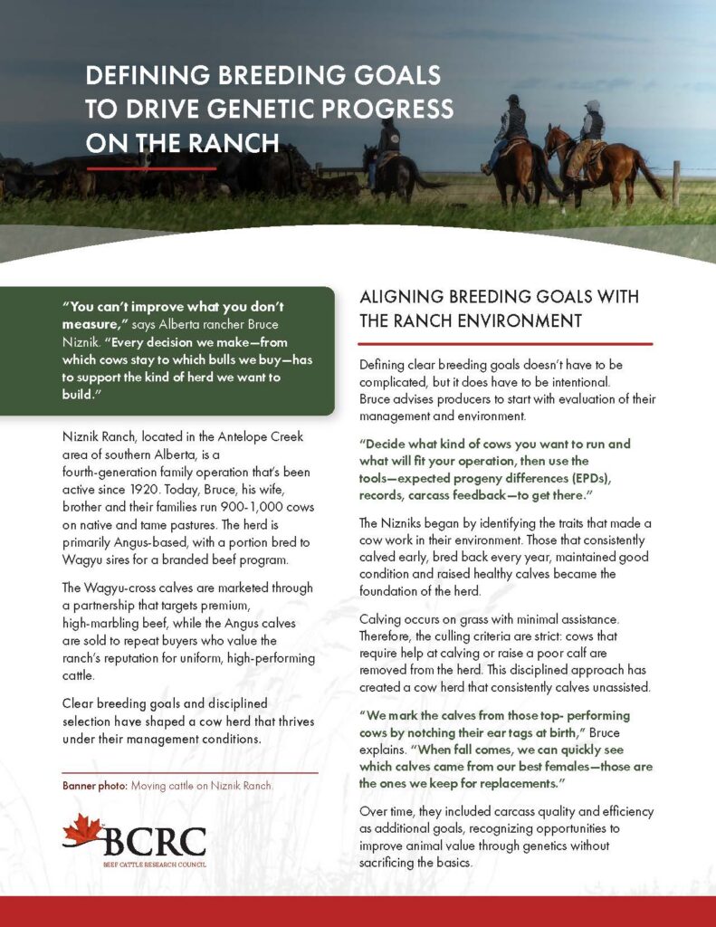 Niznik Farms beef genetics case study