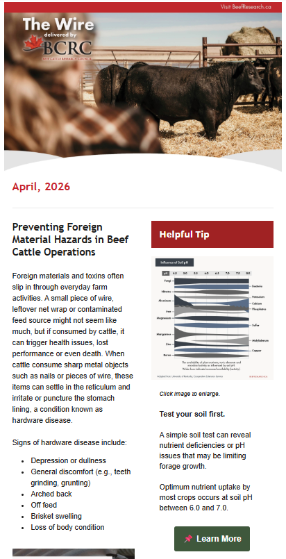 April 2026 The Wire newsletter from Beef Cattle Research Council