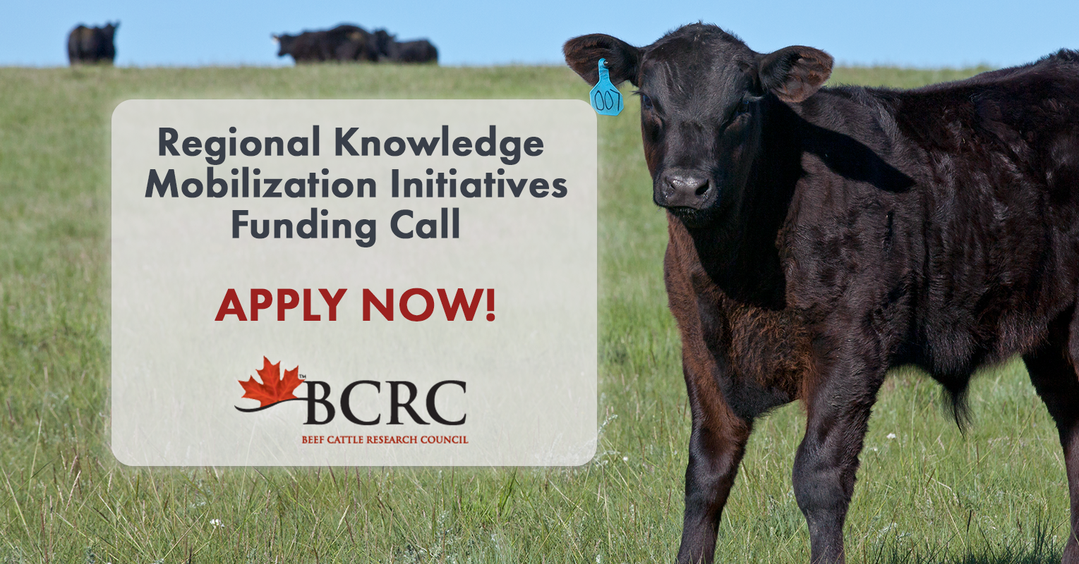 open call for BCRC's regional knowledge mobilization activities