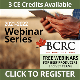 BCRC 2020-21 Webinar Series