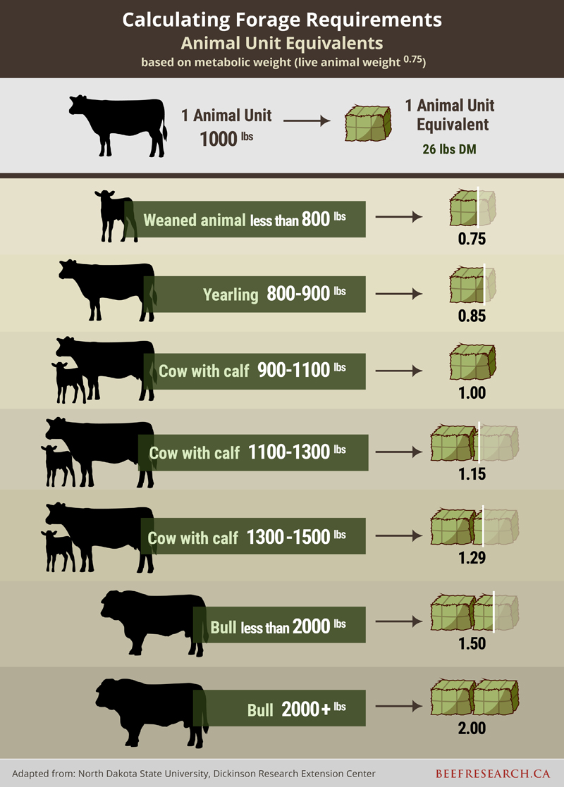 Animal Unit Equivalent Chart