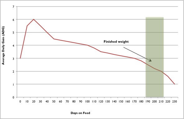 Beef Calf Growth Chart