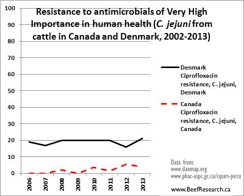 antimicrobial drug resistance high importance c.jejuni cattle canada vs denmark