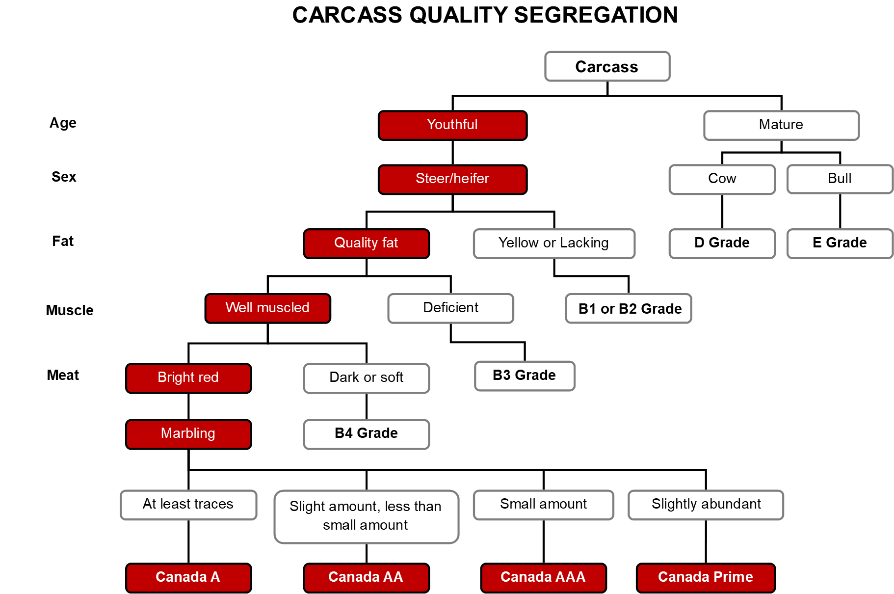 Age And Grade Level Chart Canada