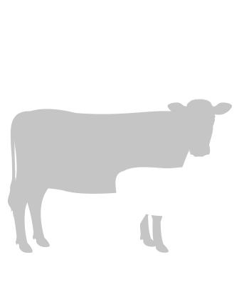 Decision Making Tools Beef Cattle Research Council