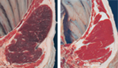 dark cutting beef (at left) is a dark red to purple colour compared to the normal bright colour of typical beef (at right)