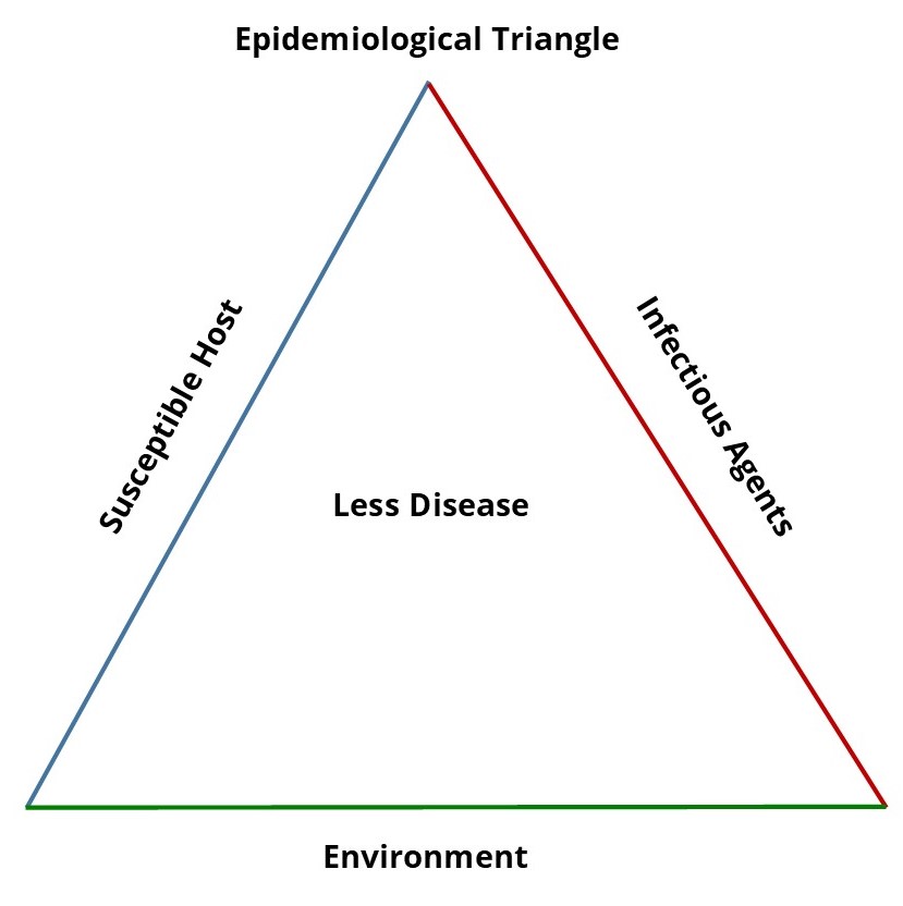 epidemiological triangle