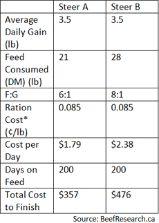 Beef Cattle Weight Gain Chart