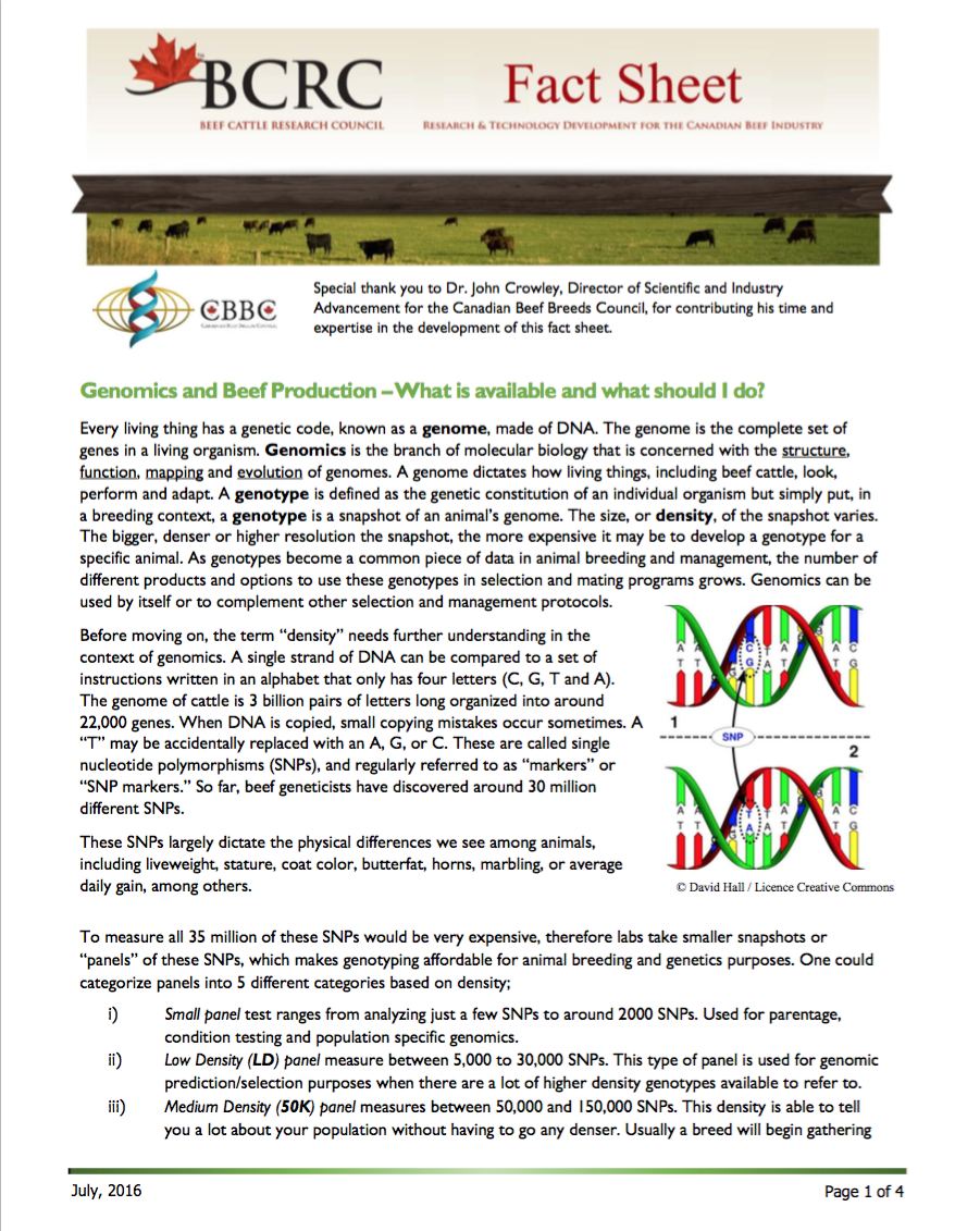 bovinnovation genomics fact sheet