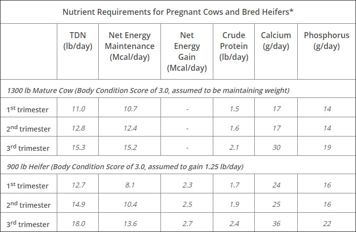 Nutrient Requirements for Pregnant Cows and Bred Heifers*