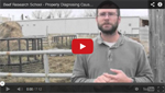 Click here for the latest Beef Research School video