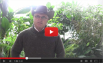 Click for the latest Beef Research School video