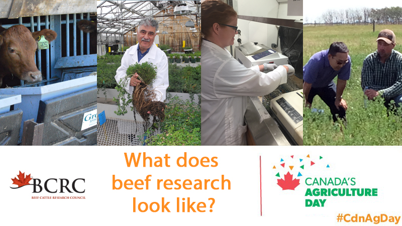 ag day collage of science 2