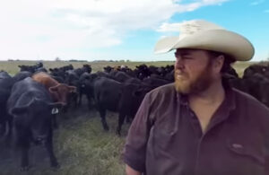 Beef producer with cattle experiencing reproductive failure 