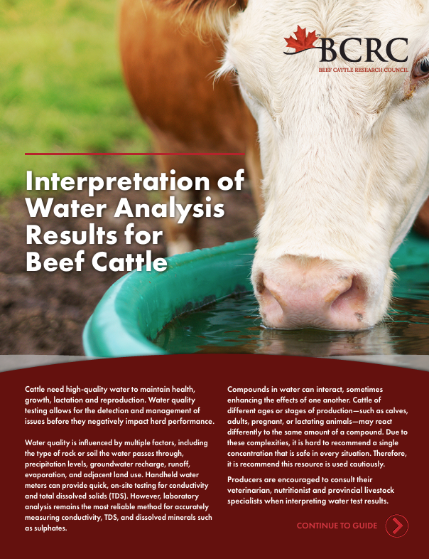 interpretation of water analysis results for beef cattle