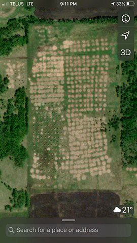 Google Earth image demonstrating residue from bale grazing