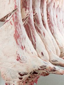 beef carcasses